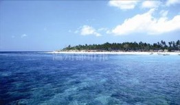 巴厘岛最新爆料新闻,最新爆料揭示惊人真相